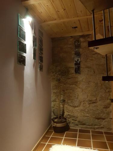 una habitación con una pared de piedra y una maceta en la pared en A Paragűeria en Sas de Penelas