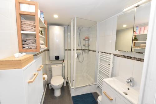 e bagno con doccia, servizi igienici e lavandino. di Appartement Dunkerque Centre a Dunkerque