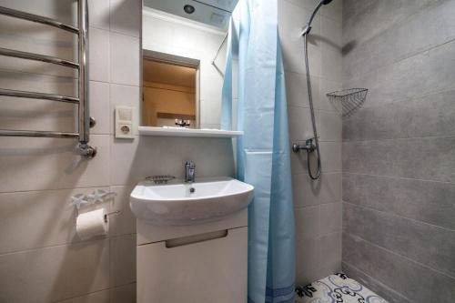 a small bathroom with a sink and a shower at Apartments in Rynok Square in Lviv