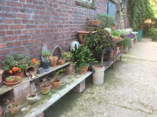 a bunch of potted plants sitting on benches next to a brick wall at Ferienwohnung Haumannshof in Xanten