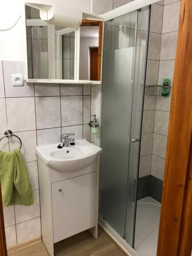 ein Bad mit einem Waschbecken und einer Dusche in der Unterkunft Tradiční český dům s ložnicemi v podkroví in Všejany