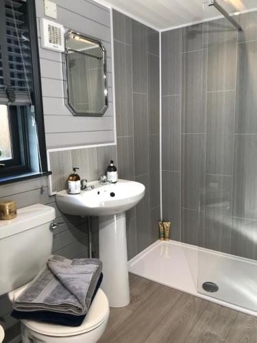 La salle de bains est pourvue d'un lavabo, de toilettes et d'une douche. dans l'établissement L11 - The Harlech Lodge with Hot Tub, à Bethesda
