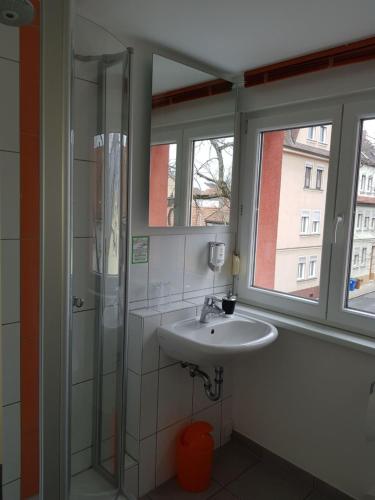 a bathroom with a sink and a glass shower at Hotel am Brauerei-Dreieck in Bamberg