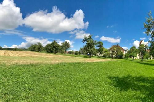 a field of green grass with a blue sky and clouds at CASA-Li old Farmhouse in Tengen