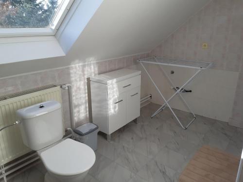 a bathroom with a toilet and a sink and a window at Ubytovanie v súkromí in Turčianske Teplice