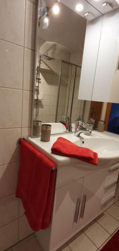 Koupelna v ubytování Karibu