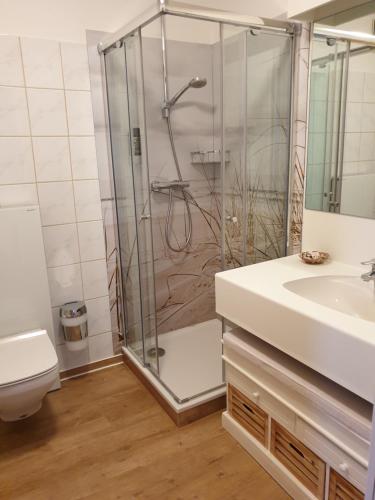 a bathroom with a shower and a sink and a toilet at Ferienwohnung Ella in Ostseebad Sellin