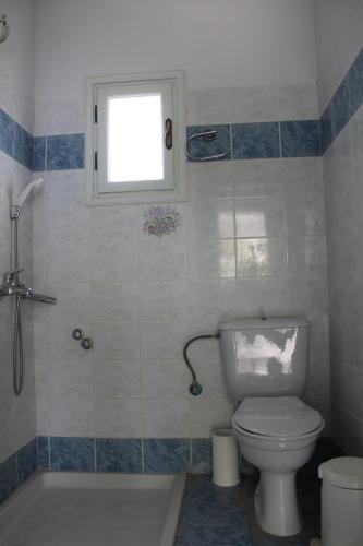 a bathroom with a toilet and a shower and a window at Armenaki Apartments in Sampatiki