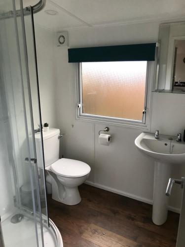 a bathroom with a toilet and a sink and a window at Daffodil Lodge in Builth Wells