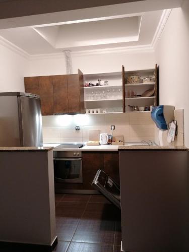 kuchnia z drewnianymi szafkami i lodówką ze stali nierdzewnej w obiekcie Penthouse Park w mieście Banja Luka
