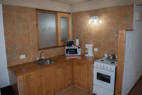 a small kitchen with a stove and a sink at Cabañas Rucaleufu in San Martín de los Andes