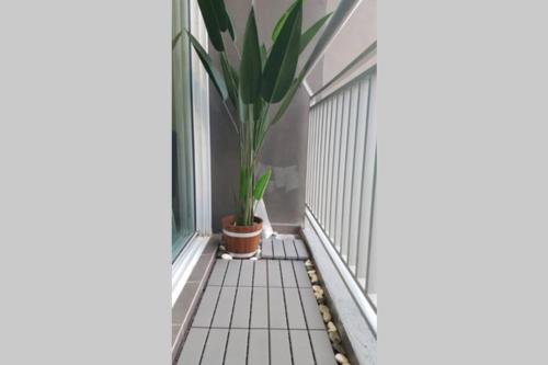 a plant in a pot on a balcony at Mesa Hill Nilai - Welcome to the Nautica in Nilai