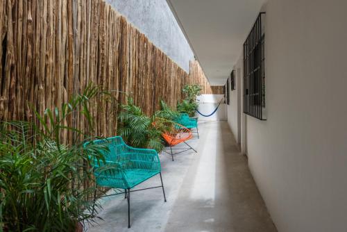 a corridor with chairs and plants in a room at Art Studios in Cancún