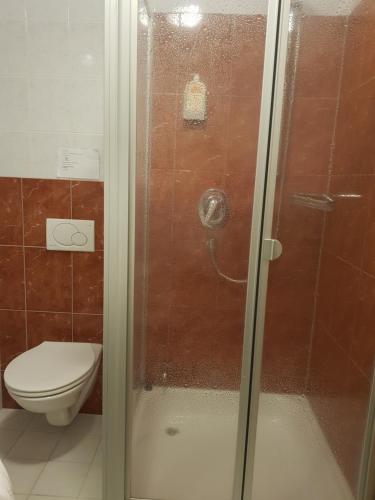 a bathroom with a toilet and a glass shower at Stadler Hof in Großgundertshausen