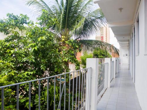 un balcón con una valla blanca y una palmera en Pousada Atlantico Centro - Fortaleza, en Fortaleza