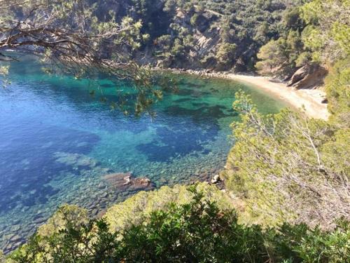 a large body of water with a beach and trees at Port Canigó 344 in Roses