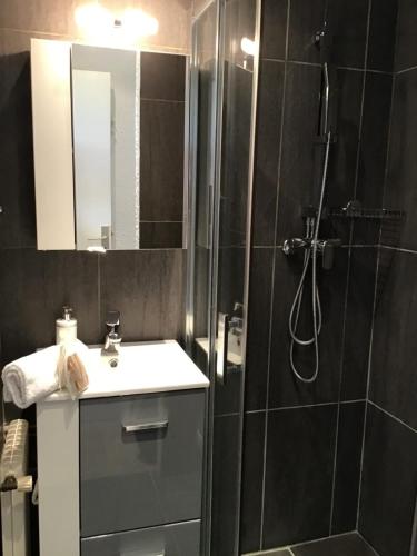 une salle de bain avec douche et lavabo dans l'établissement Studio 