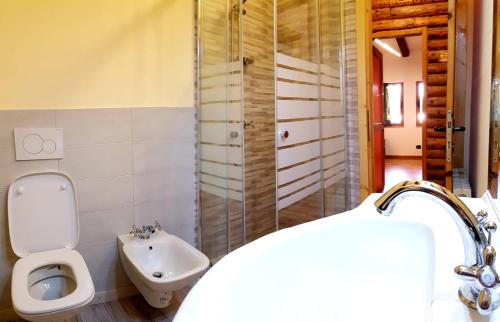 y baño con aseo y lavamanos. en Canè in fiore en Baselga di Pinè