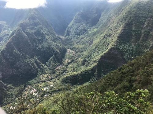 a view of a mountain valley with trees at ti Kaz Papang in La Plaine des Cafres