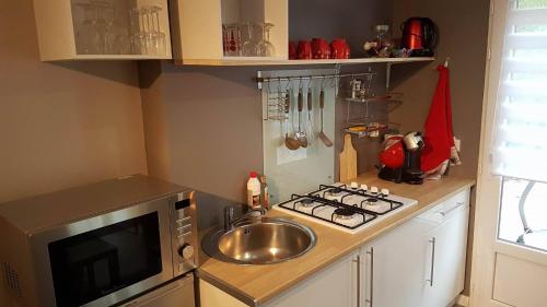 une petite cuisine avec un évier et un micro-ondes dans l'établissement La Bulle, à Saint-Maurice