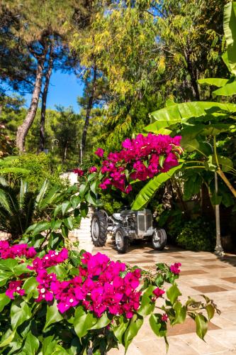 Giardino di Petunya Konak Boutique Hotel