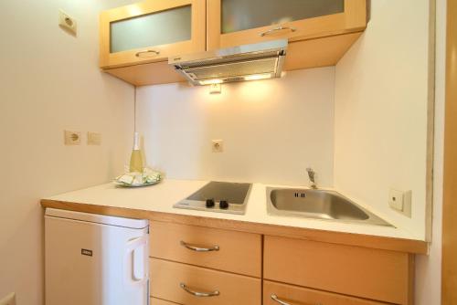 eine kleine Küche mit Spüle und Kühlschrank in der Unterkunft Apartment Vjeko in Vantačići