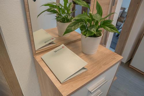 deux plantes en pot sur un comptoir dans une pièce dans l'établissement Grundlwald Ferienwohnungen, à Bad Aussee