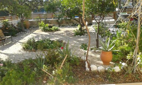 a garden with an orange vase and some plants at Kampos Rooms in Palaiochóra