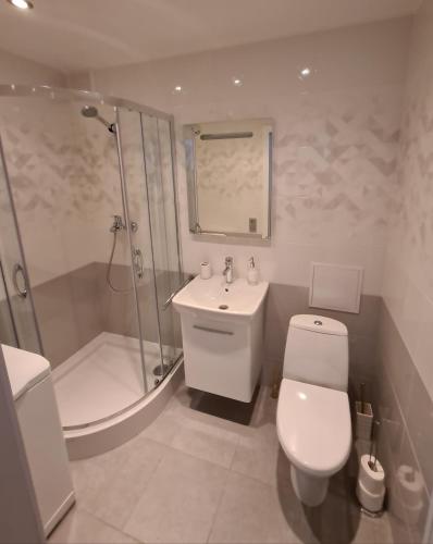 a bathroom with a toilet and a shower and a sink at Alejas Lux Apartment in Liepāja