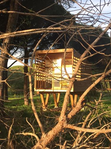 a log cabin in the middle of some trees at miCielo - Baumhäuser in Vejer de la Frontera