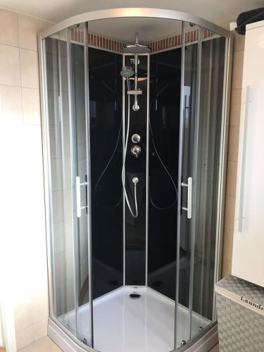 a shower with a glass enclosure in a bathroom at Notodden Sentrum Apartment NO 3 in Notodden