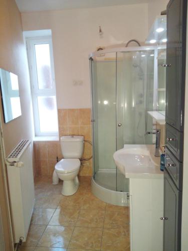 une salle de bain avec toilettes, douche et lavabo dans l'établissement Appartement 2 chambres 52 m2 centre ville, à Vendôme
