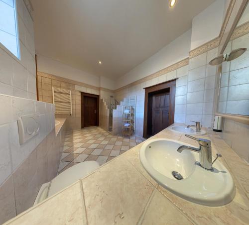 a bathroom with a sink and a toilet in it at Avalon Bed & Breakfast Themen/- Nichtraucherhotel in Hannover