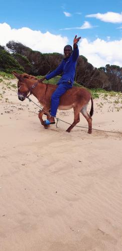 a person riding a horse on the beach at Sky Island Resort in Ponta Malongane