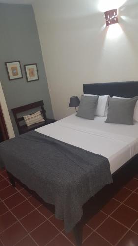 a bedroom with a large white bed in a room at Hotel Alcaldeza - Garden House in Santo Domingo