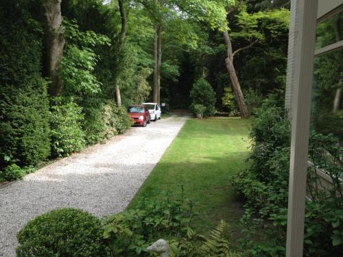 a driveway with a red car parked in a yard at De Rode Beuk in Wassenaar