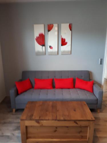 sala de estar con sofá azul y almohadas rojas en Gîte Chevênes, en Annecy