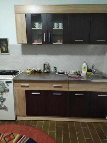 a kitchen with a sink and a counter top at Apartment Ljupka in Pančevo