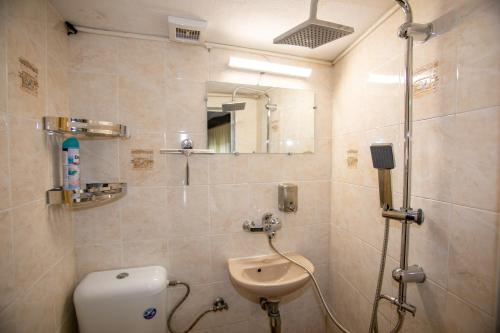y baño con ducha, lavabo y aseo. en The Tinkov house in Lovech, en Lovech
