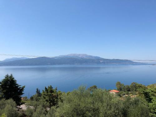 Boutique Family Villa