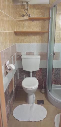 a bathroom with a toilet and a shower at Apartment Beautiful Črni Kal in Črni Kal