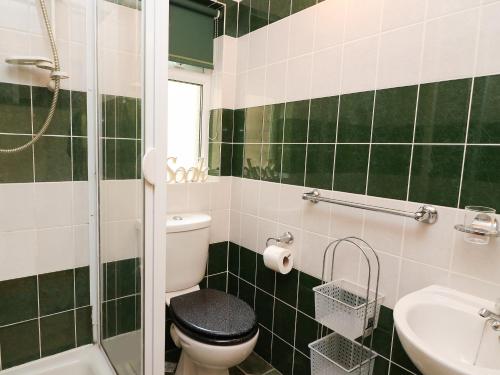 a green and white bathroom with a toilet and a sink at Blaenywawr Annexe in Cross Inn