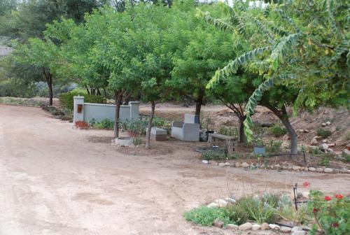 a garden with trees and a dirt road at Gasteria Grange in Calitzdorp