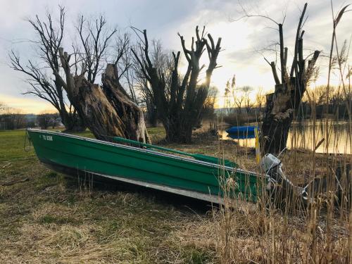 a green boat sitting on the grass in a field at VILLA TAEGERMOOS in Tägerwilen