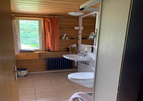 ein Bad mit einem WC und einem Waschbecken in der Unterkunft Hotel Waldeck in Todtnau in Todtnau