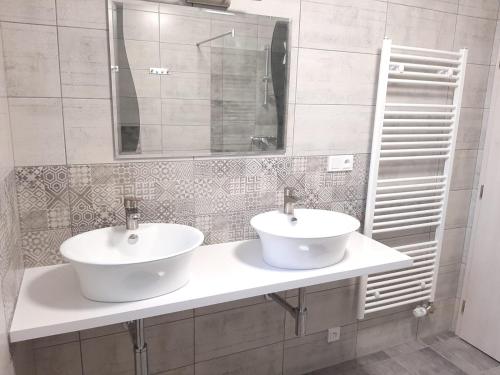 łazienka z 2 umywalkami i lustrem w obiekcie apartmán U Rané BOBULE w Znojmie