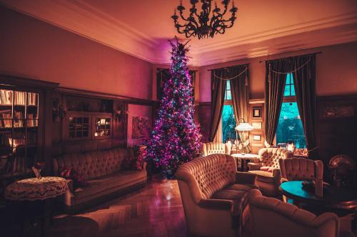 a christmas tree in a living room with a christmas tree at Willa Barbara - ProHarmonia in Lądek-Zdrój