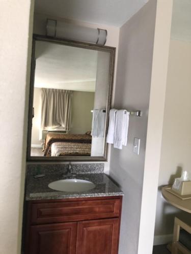 a bathroom with a sink and a mirror at Flamingo Beach Inn in Biloxi