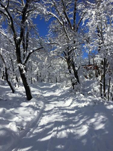 Chillán House durante el invierno