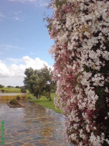 a wall covered in pink and white flowers at Naveterra-Hotel Rural in Alandroal